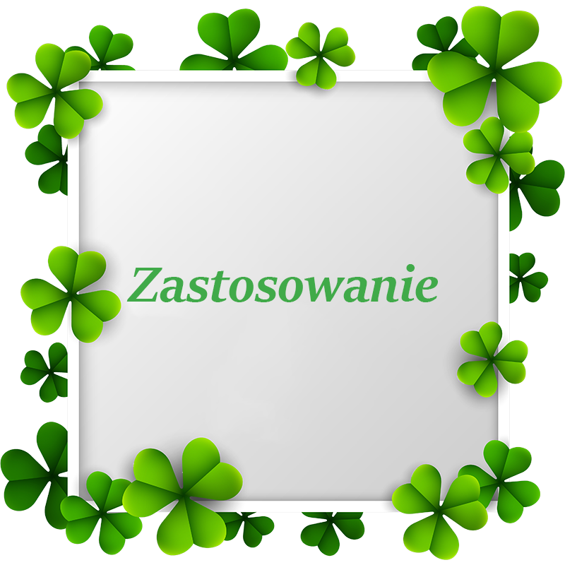 Zastosowanie