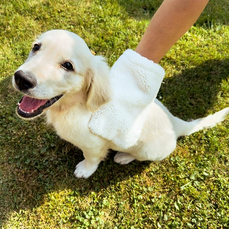 Zestaw dla zwierząt czyszczący Animals Cleaning Set Raypath. Ekologiczna pielęgnacja pupila bez chemii