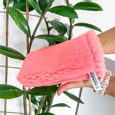 VIP REINIGUNGSSET - WERBEAKTION - KOSTENLOSES SPA-SET - RAYPATH