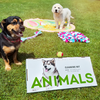 DIERENVERZORGINGSSET - REINIGING - ANIMALS CLEANING SET - RAYPATH