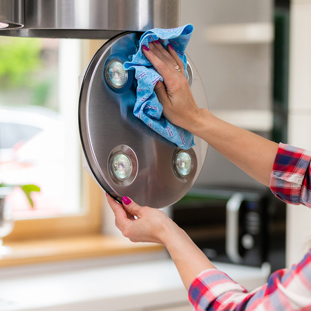 STANDARD CLEANING KIT - RAYPATH