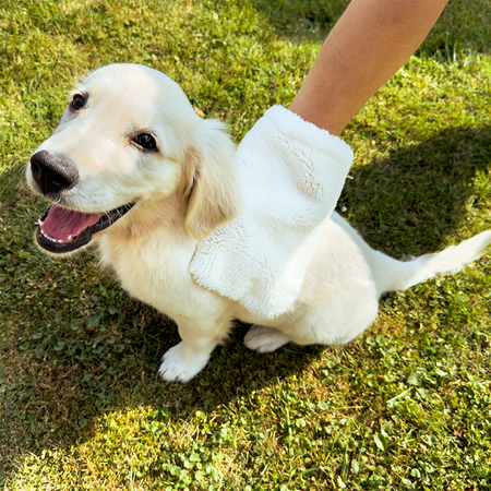REINIGUNGSSET FÜR TIERE - RAYPATH